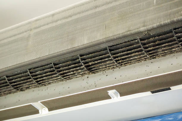 Best Emergency Air Duct Cleaning  in Sabetha, KS